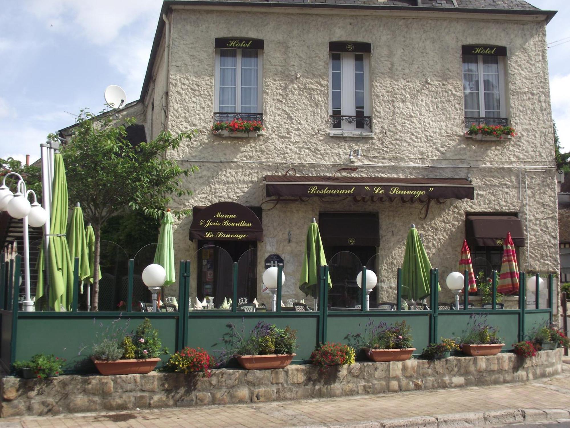Le Sauvage Hotel Chateau-Renard Luaran gambar