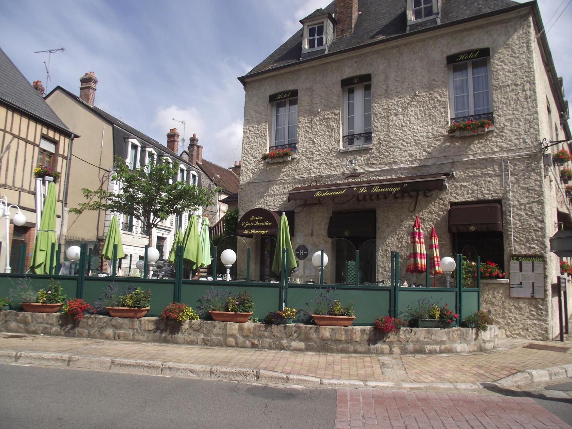 Le Sauvage Hotel Chateau-Renard Luaran gambar