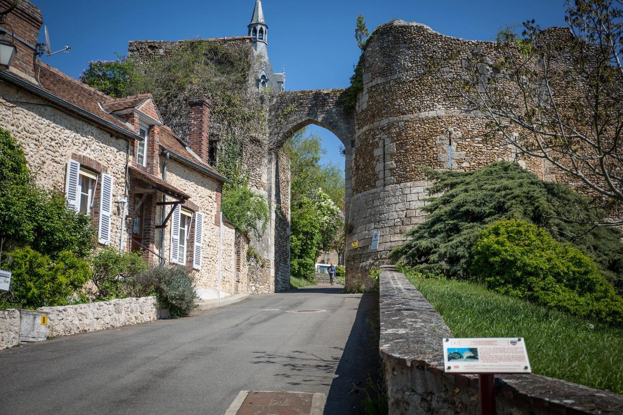 Le Sauvage Hotel Chateau-Renard Luaran gambar